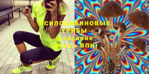 дмт Баксан